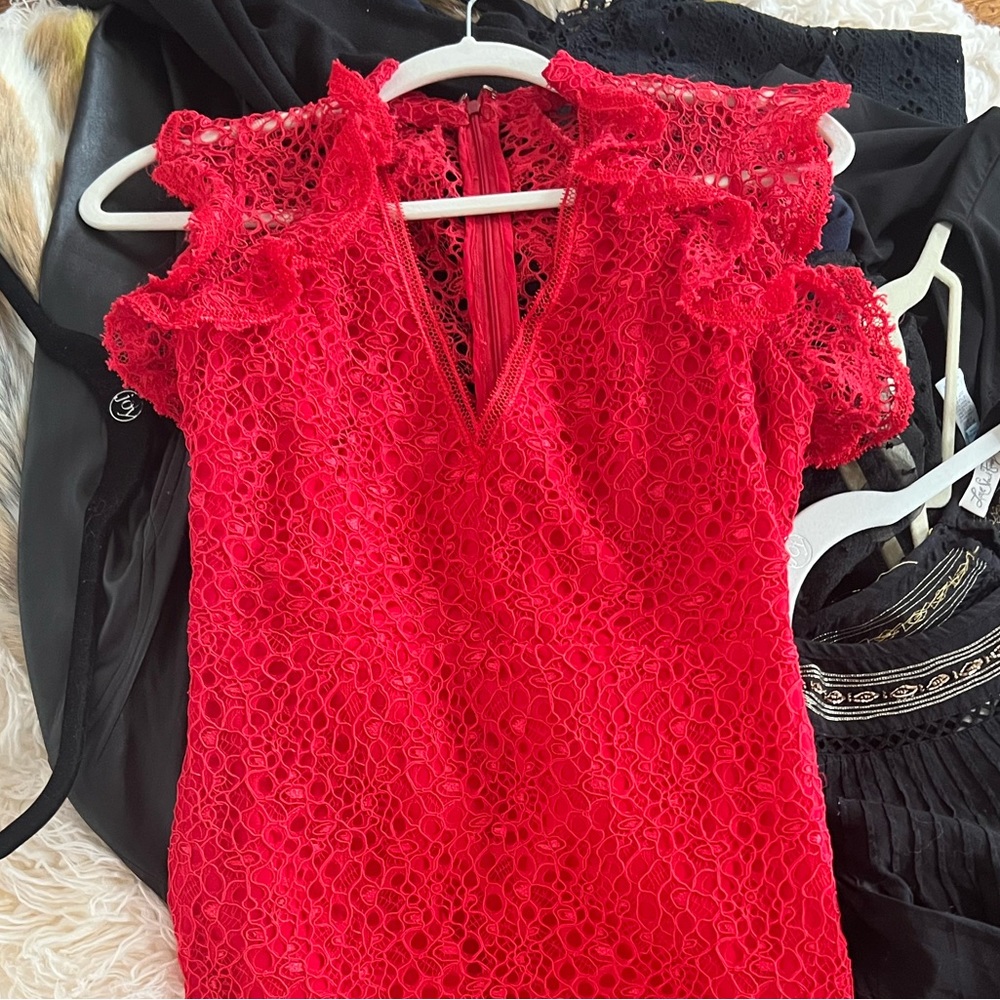 Red lace Alexis dress